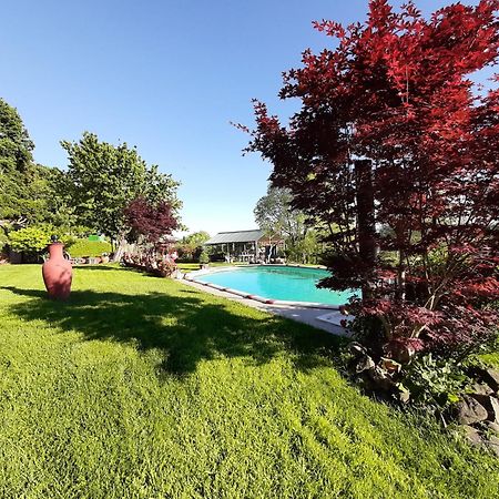 La Cupoletta -Holiday House - Gilda Trevignano Romano Kültér fotó